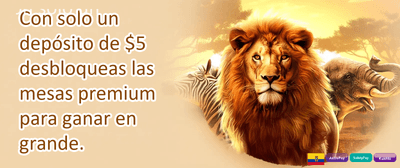 Bono de Referido Amigo promotion banner